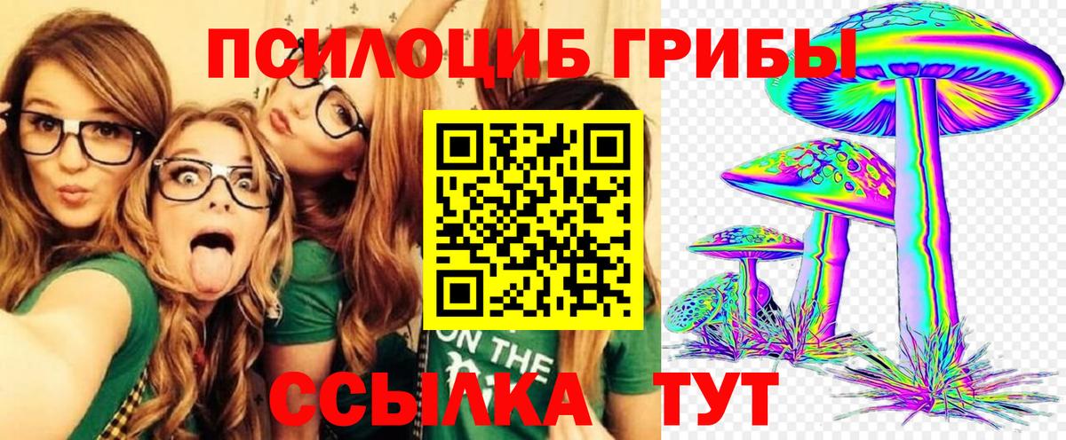 Галлюциногенные грибы прущие грибы Нижнекамск