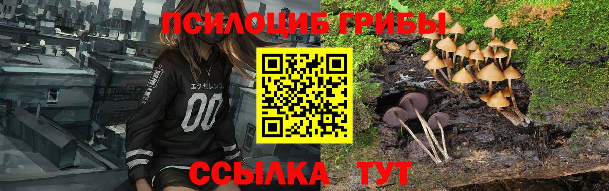 Нижнекамск  Псилоцибиновые грибы Cubensis  Вход с VPN 
